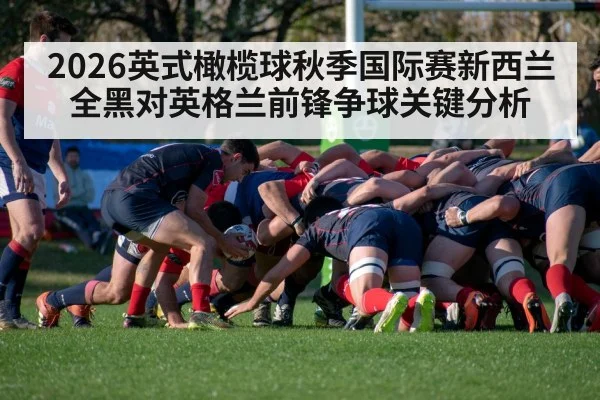2026英式橄榄球秋季国际赛新西兰全黑对英格兰前锋争球关键分析 - 5epaly